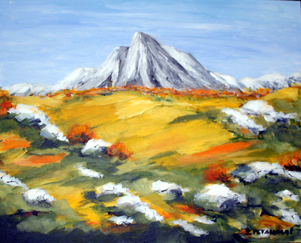 Zvonko Petanović Slavonski Brod